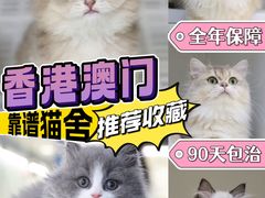 -lincat·猫舍(广州店)