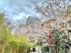 -锦江都城经典达华静安寺酒店·餐厅