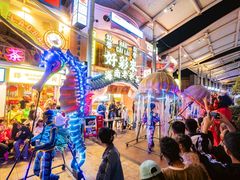 -三亚海昌梦幻海洋不夜城