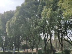 -中共上海市委党校 上海行政学院