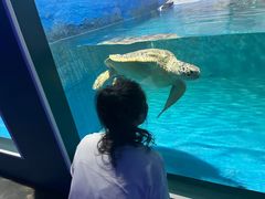 -北戴河圣蓝海洋公园