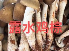 -佳缘野生菌食府