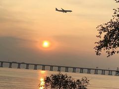 -宝安西湾红树林湿地公园