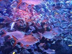 -成都浩海立方海洋公园