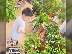 -双季花艺园艺市场(浦东店)