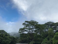 -广州市白云山风景名胜区