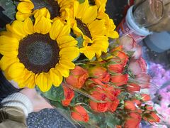 -循礼门鲜花花市(武汉循礼门店)