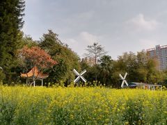 -晓港公园
