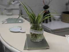 -燕庭·纯燕窝·甜品下午茶(南京西路店)