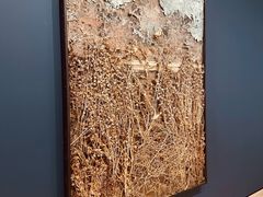 -旧金山现代艺术博物馆