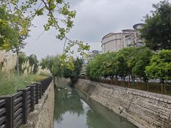 -神仙树公园