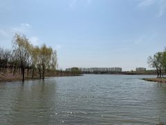 -东郊湿地公园