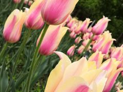 -长春公园(普阳街道)