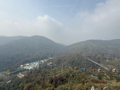 -千年银杏谷文化旅游区