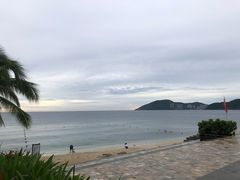 -墨脱石锅椰子鸡•香草鸭•东山羊(大东海店)