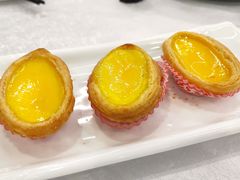 -渔鸽皇酒楼(鸿大广场店)