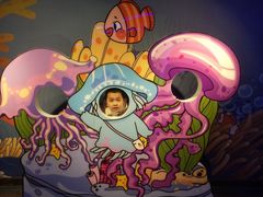 -海合安天津极地海洋公园