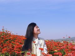 -六合国家地质公园桂子山景区