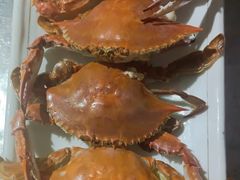 -农家乐大锅台铁锅炖(四流中路店)