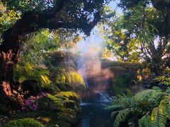 -Chom Cafe and Restaurant