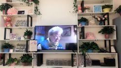 -恐龙·美甲美睫