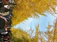 -辽宁大学(崇山校区)