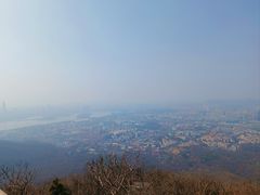 -紫金山山顶公园