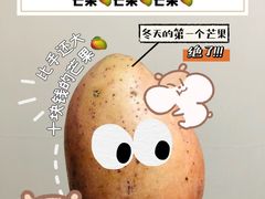 -三亚新鸿港水果一级批发市场