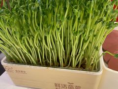 -巴邑火锅·鲜切牛肉(萧山银隆店)
