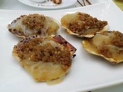 扇贝-黑龙江美食城(三角公园店)