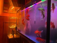 -無名记忆Music Bar夜景怀旧酒吧