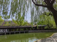 -团结湖公园