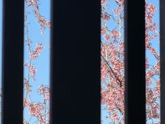 -腾冲和顺柏联酒店