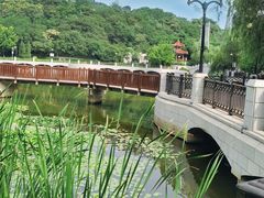 -大连植物园
