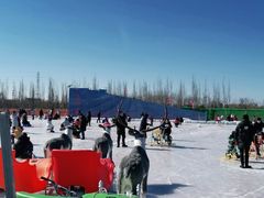 -绿野森林乐园冰雪季