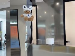 -三只熊皮肤管理中心旗舰店