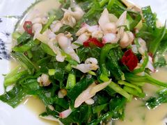 蛤肉炒韭菜-海鲜人家(吕四店)