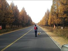 -月亮湖
