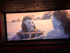 -新荟城(望京店)