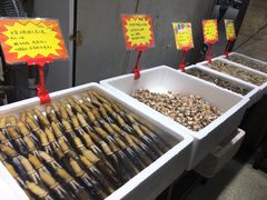 -蚝专家(北滘店)