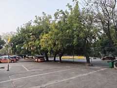 -鹏城驾校·学车·陪驾(景田店)