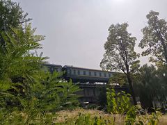 -永定河休闲森林公园