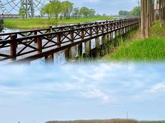 -苏州太湖国家湿地公园