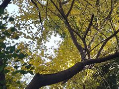 -汇龙潭