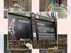 -中国西峡恐龙遗迹园