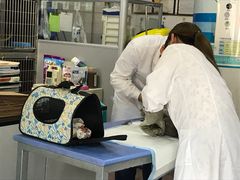 -恒康宠物医院(司背后街店)