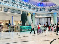 -帝企鹅自助餐厅•儿童岛•真企鹅(长隆企鹅酒店)