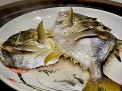 -天鹰观渔(梦园店)