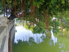 -烟桥私房菜馆(奋哥)