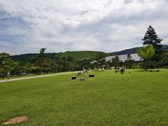 -奈良公园